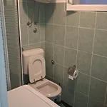 Sineva * Σίμπενικ